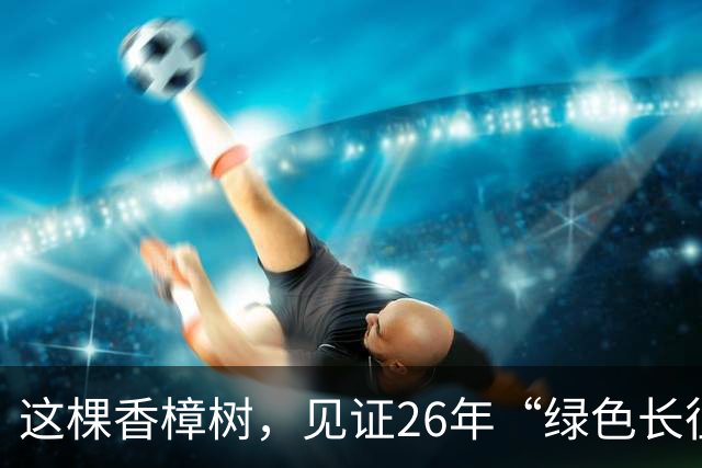 这棵香樟树，见证26年“绿色长征”